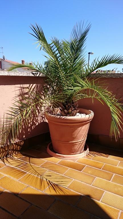 Licul Apartment Rovinj Ruang foto