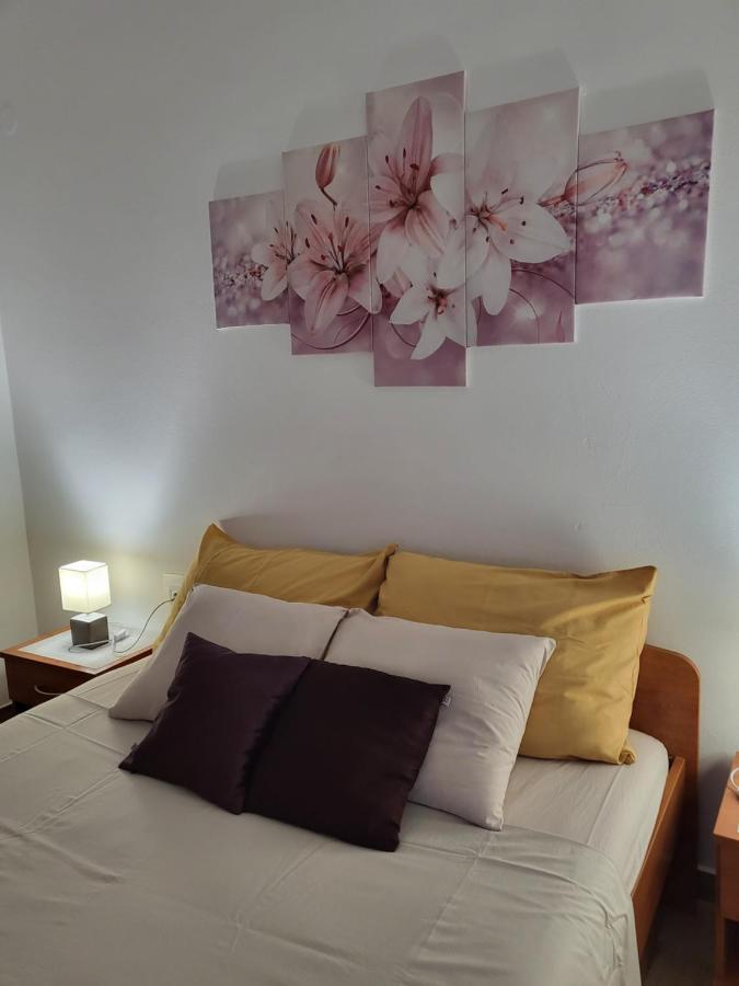 Licul Apartment Rovinj Bagian luar foto